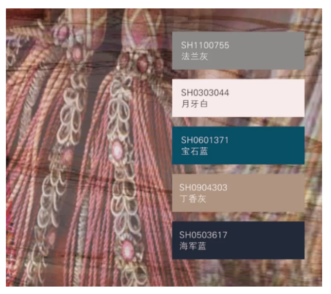 1541922559104082721.png