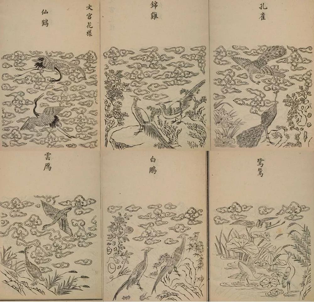 1545875045223006657.jpg